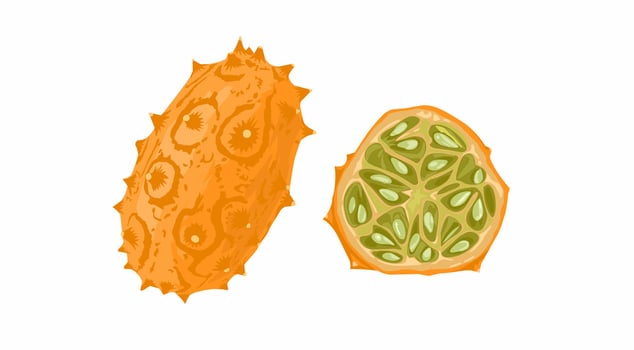 Kiwano fruit, horned melon, vibrant green interior vector