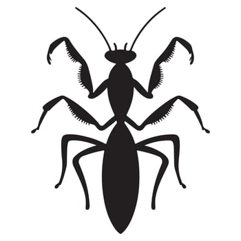 Praying Mantis Silhouette Illustration vector