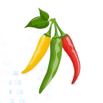 colorful, realistic set of hot chili peppers, on a white background. Red, yellow and green. vector