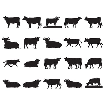 Cow Silhouettes Collection vector