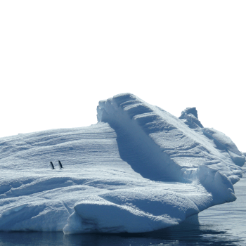 Penguins standing on an iceberg isolated on transparent background in antarctica png
