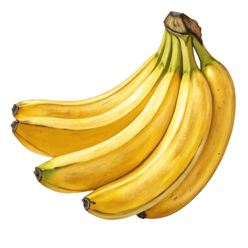 Bunch of ripe yellow bananas isolated on transparent background png