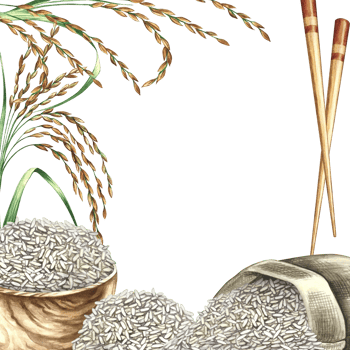 A frame with rice, an upside-down burlap bag, a wooden bowl, rice grains, and chopsticks. A watercolor illustration. A design element for menus, recipes, and cookbooks. For packaging, labels, and more png