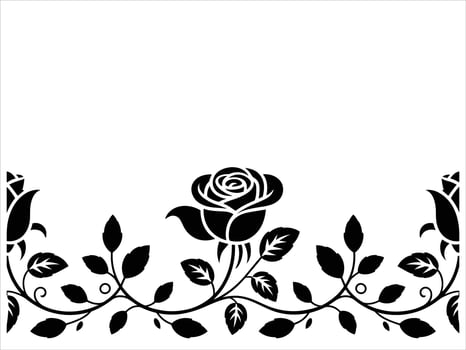 black and white roses on a white background vector