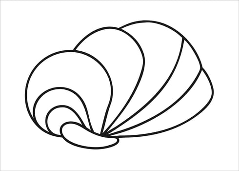 A single continuous line art drawing of a delicate sea shell showcasing its intricate spiral form isolated on white background vector