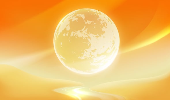 Bright moon in orange landscape vector