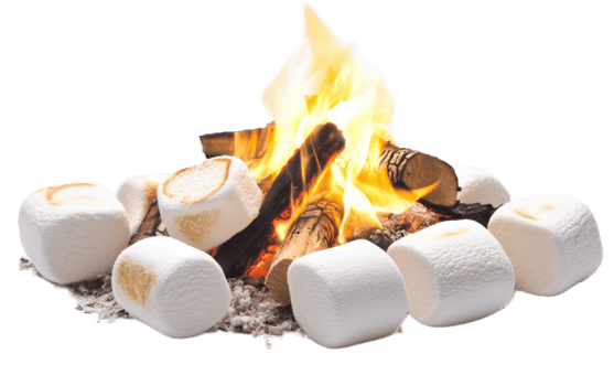 Marshmallows roasting over a campfire isolated on transparent background png