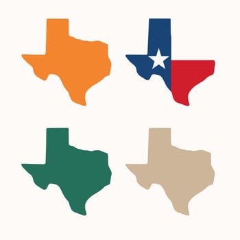 Minimalist Flat Shape Texas State Silhouette Icon Set with Flag Color vector