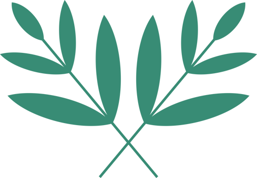 green leaves nature png