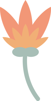Pastel orange flower cartoon png