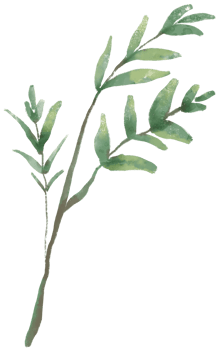 watercolor drawing green bamboo branch png