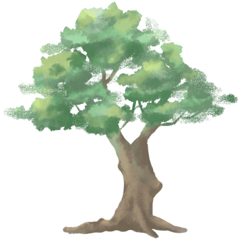 Big tree watercolor paint png