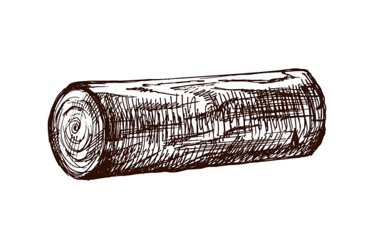 Hand drawn vintage sketch of wooden log or timber piece in monochrome rustic style vector