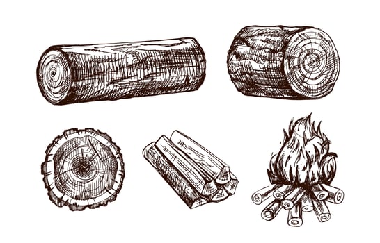 Hand-drawn vintage sketch of firewood, burning campfire, log and tree stump in brown ink style vector