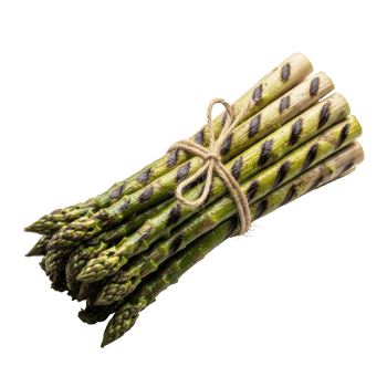 A bundle of fresh green asparagus spears, perfectly grilled with distinct char marks and tied with rustic twine, ready for a healthy meal or culinary presentation. png