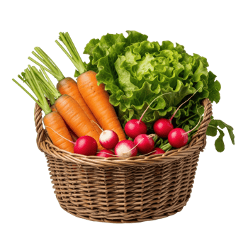 Freshly harvested carrots, crisp lettuce, and vibrant radishes are neatly arranged in a rustic woven basket, symbolizing healthy eating and a bountiful garden yield. png