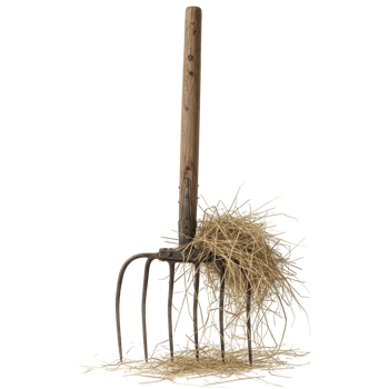 An old wooden pitchfork with metal prongs, covered in dry straw, stands upright. This essential farm tool is used for handling hay, manure, or loose materials. png