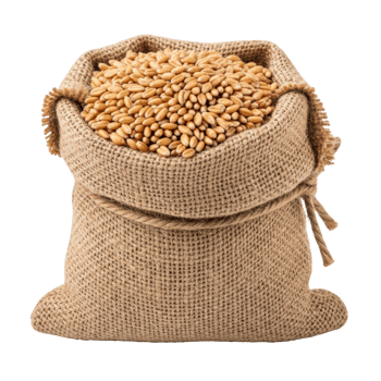 A rustic burlap sack filled to the brim with golden wheat grains. Ideal for themes of agriculture, harvest, food production, and natural ingredients. png