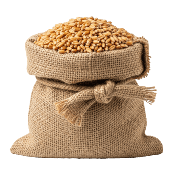 A rustic burlap sack filled to the brim with golden wheat grains, representing a bountiful harvest and essential food supply. Ideal for themes of agriculture, farming, and food production. png