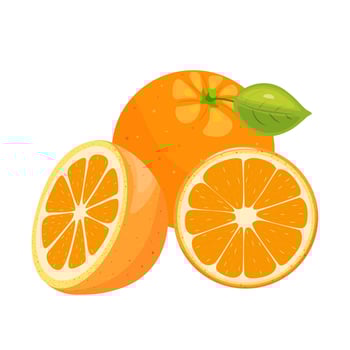 Whole and sliced oranges with a leaf vector