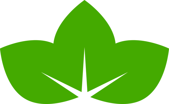 Green doodle leaf tree icon png