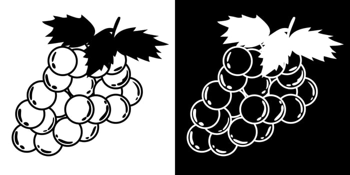 Stylized grape bunch illustration in black and white featuring glossy berries and spiky leaves. vector