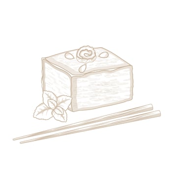 Tofu with mint and chopsticks vector