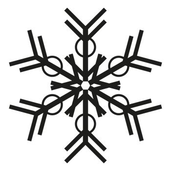Christmas winter snowflake png