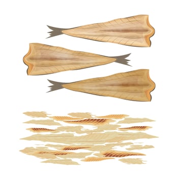 Three dried fish fillets illustration vector