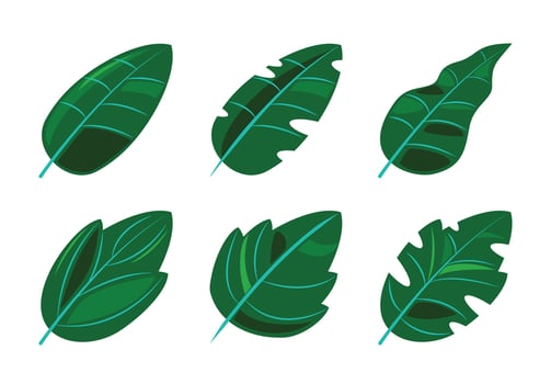 Tropical Green Leaf Icon Set vector