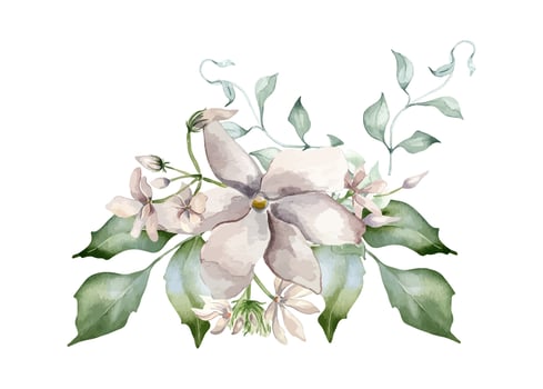 watercolor floral arrangement vector