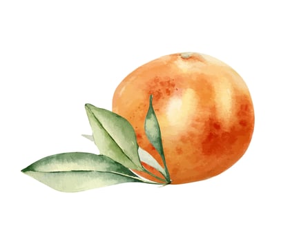 Watercolor orange with green leaves vector