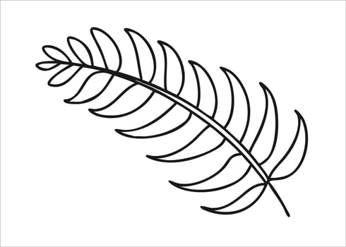Elegant line art depicting a delicate fern leaf with gracefully curled ends rendered in bold black ink isolated on white background vector