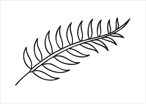 Elegant line art depiction of a fern frond with gracefully curled ends rendered in striking black ink isolated on white background vector