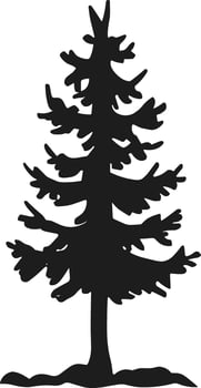 Silhouette of Natural Pine Tree for Nature Designs vector
