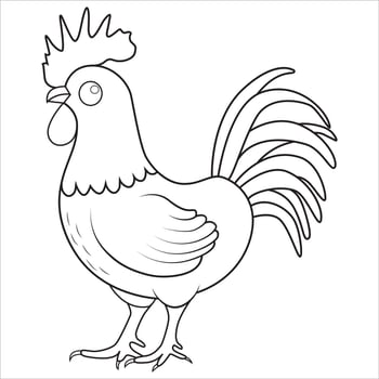 Line Art Rooster Illustration vector