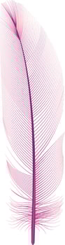 Light pink feather with thin, delicate fibers gently floating against a pristine white background, evoking a sense of elegance and softness, embodying purity and innocence vector