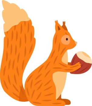 Cartoon illustration of a fluffy orange squirrel holding a hazelnut, isolated on a white background, conveying themes of nature, wildlife, and autumn vector