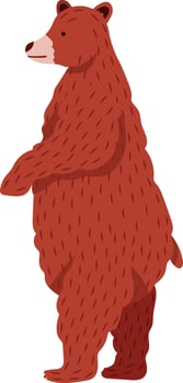 Illustration featuring a brown bear standing upright on two legs, gazing to the right, set against a clean white background, capturing the essence of wildlife and nature vector