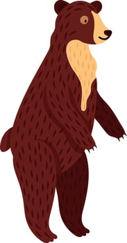 Illustration featuring a brown bear standing on two legs, showcasing a light brown patch on its chest while looking to the right against a clean white background vector