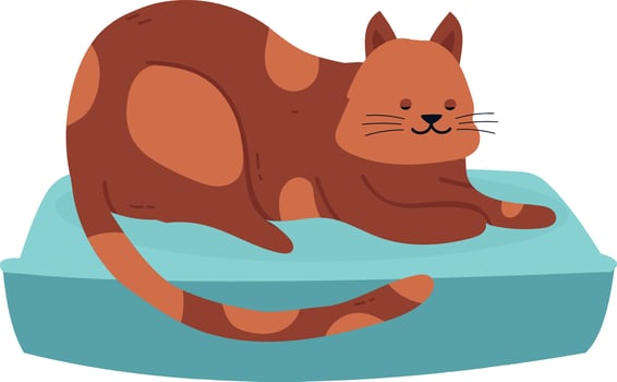 Adorable brown cat with dark spots lying comfortably on a light blue pillow, basking in tranquility and enjoying a serene moment of relaxation and contentment in a cozy home setting vector