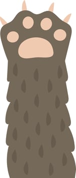 Cartoon drawing of a brown furry paw with claws showing pads and toes, isolated on a white background, representing concepts like pets, animals, and wildlife vector