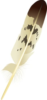 Realistic illustration featuring a feather with a brown tip and beige body, showcasing intricate details of its barbs and shaft against a white background vector