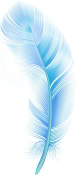 Light blue feather with turquoise shades on the lower part of the shaft floating on a white background, representing lightness, softness and delicacy vector