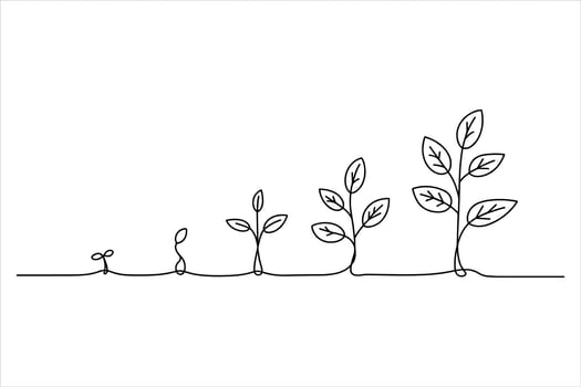 Plant growth stages in a single line drawing seedling vector