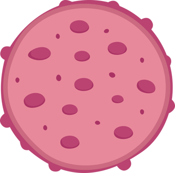illustration of lysosome on top png