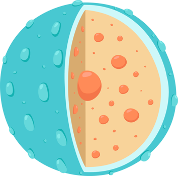 illustration of lysosome half design png