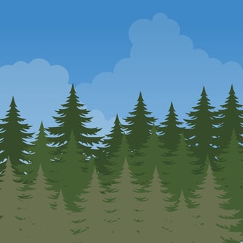A clean illustration of a dense pine forest under a bright blue sky. Perfect for nature, outdoor, and adventure-themed designs. vector