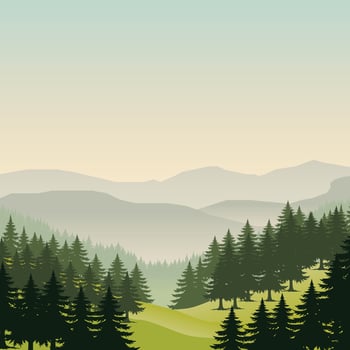 A clean illustration of a dense pine forest under a bright sky. Perfect for nature, outdoor, and adventure-themed designs. vector