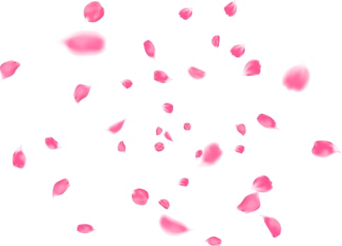 Falling pink flower petals vector